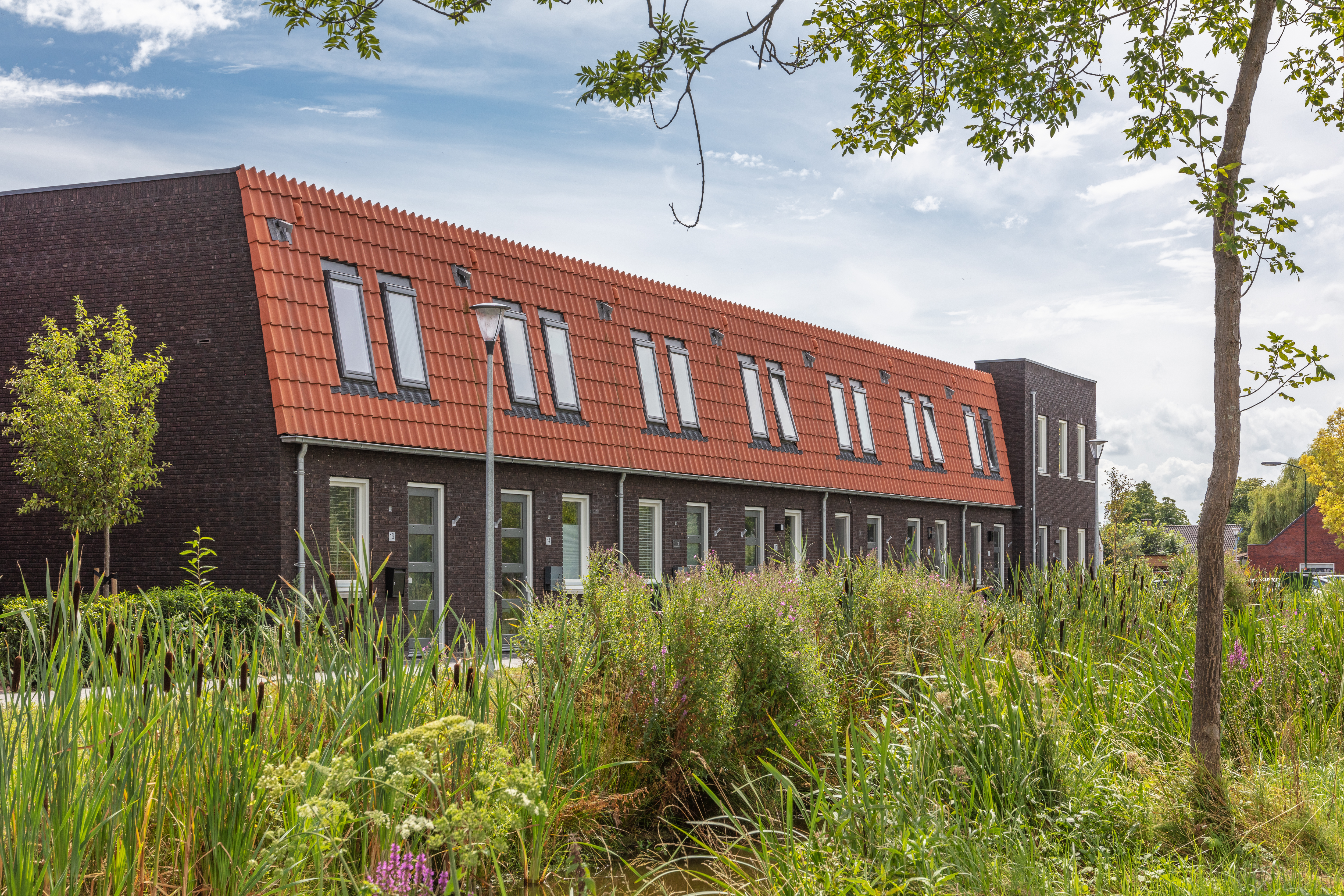 ZEGVELD_WEIDZ_08_4R8A1931