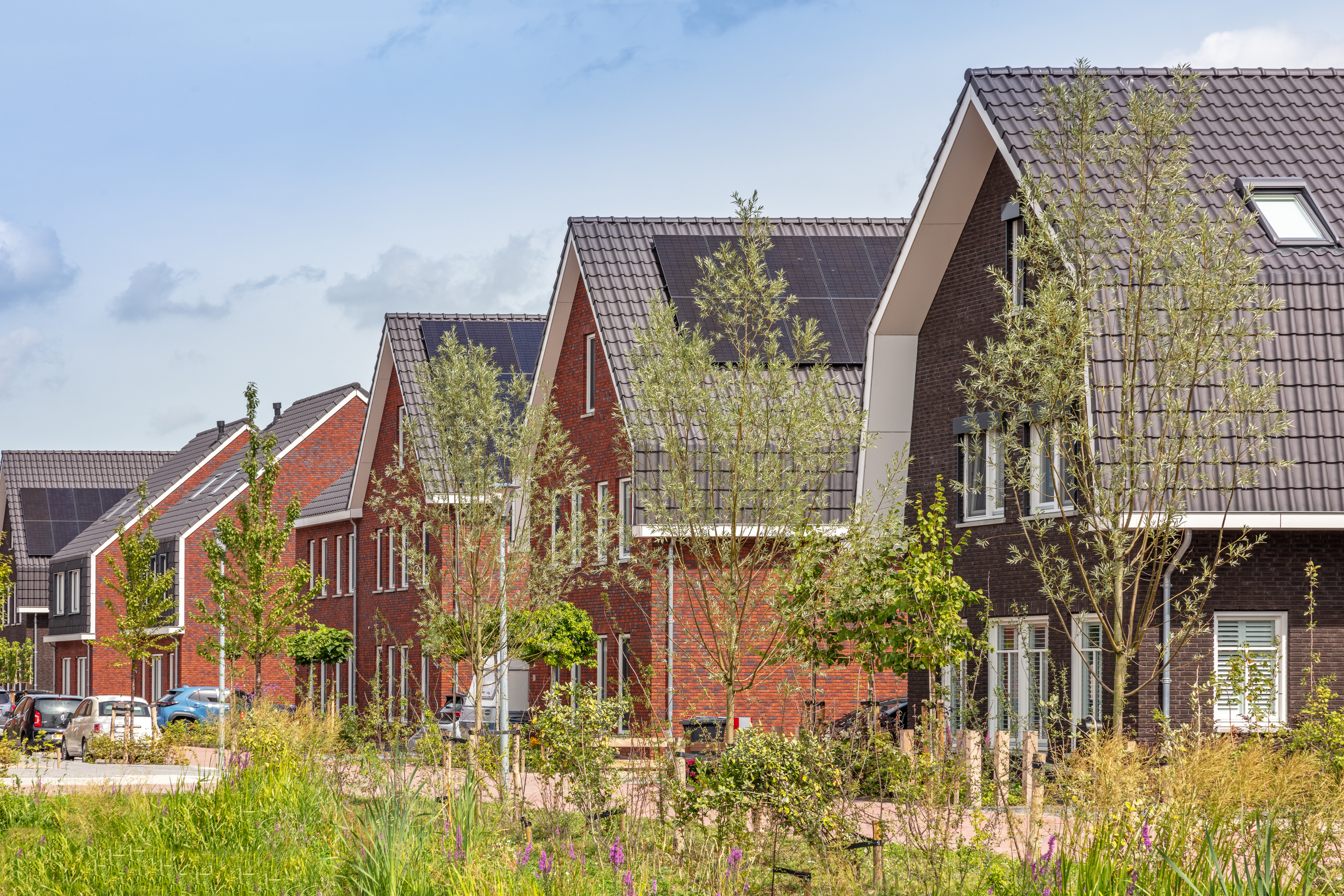 ZEGVELD_WEIDZ_11_4R8A1949